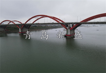 龙洲大桥 新盛自浮式原图 (31).jpg