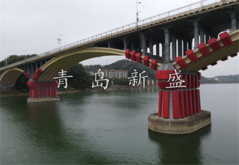 会龙山大桥  新盛固定式原图 (115).jpg