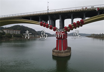 会龙山大桥  新盛固定式原图 (116).jpg